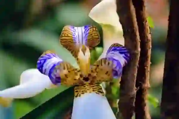 유튜브 프리미엄 넷플릭스 요금제 2년차 구독 가격할인 하는법 노하우