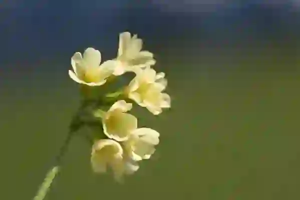 샌드애니웨어 아이폰사진컴퓨터로옮기기 USB케이블연결방법까지 (두가지방법)