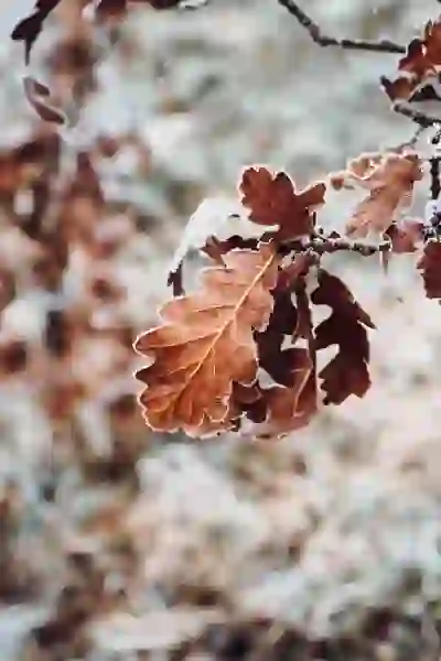 아이패드화면꺼짐 및 자동밝기 내가 원하는대로!