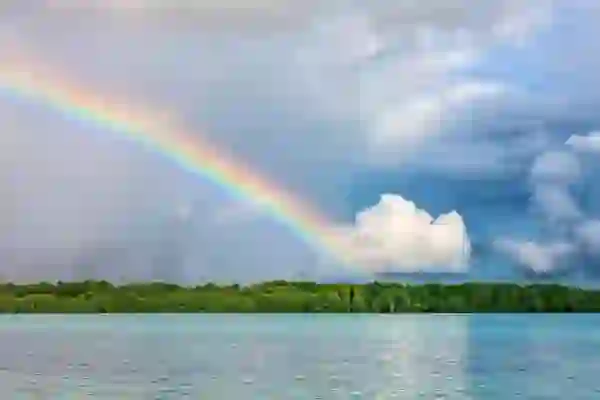 로보락 ROBOROCK S8 PRO ULTRA (S8프로 울트라) 물걸레 로봇청소기 개인적 최고 추천