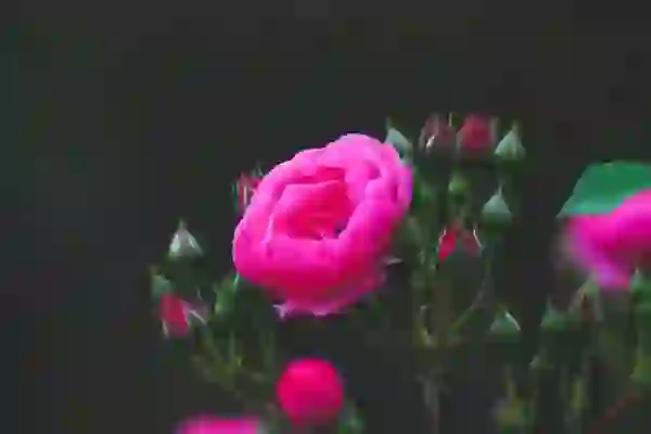 가정용 비데 구입시 체크사항 필수: 방수 필터 교체없는 도기세척 (결론은 블루밍 추천)