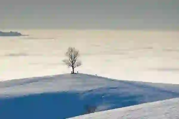 [비행기 규정] 기내용 위탁수하물 캐리어 사이즈 및 반입금지 품목 - 대한항공, 아시아나, 진에어, 제주항공 국내선 국제선 총정리