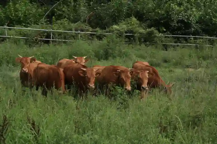 당뇨병 완화에 도움을 주는 플라보노이드: 효능과 숨겨진 부작용 완전 분석