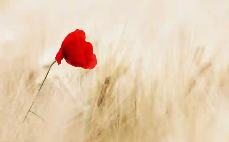 키워드 탐구의 모든 것: 검색어 분석, 전략 및 성공적인 활용법 완벽 가이드!