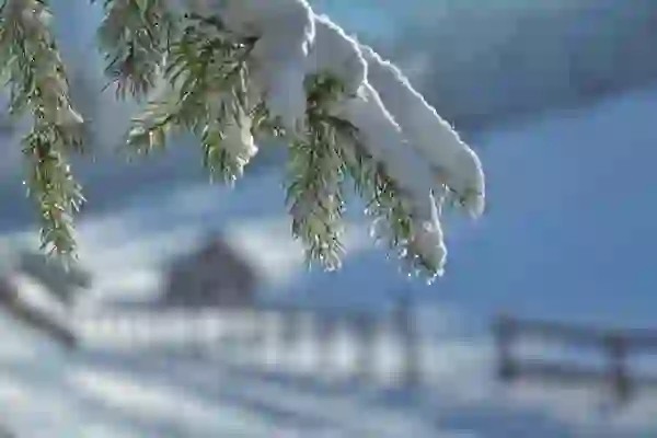 부천 실업 급여, 꼼꼼한 부정 수급 방지 노하우: 안전한 구직 활동 가이드