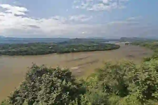 출산율, 무엇이 문제일까? 본질부터 파헤치는 핵심 분석!