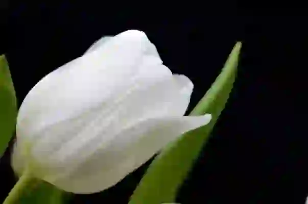 LG 4도어 냉장고 1등급 완벽 분석: 에너지 효율과 스마트 기능의 결정체