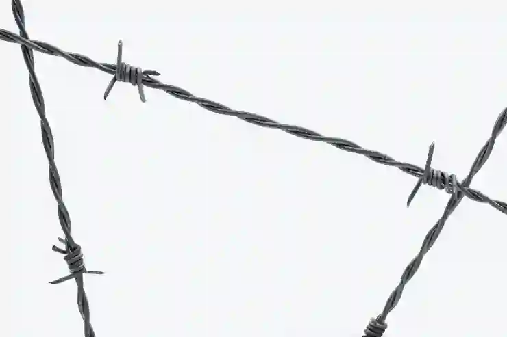개인정보보호, 2025년 핵심 가이드 필수 확인