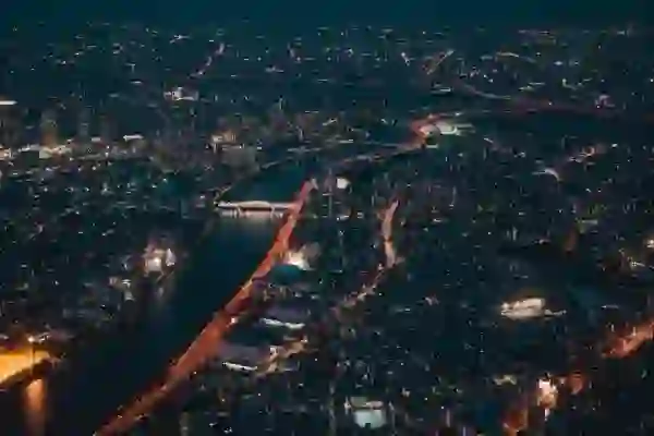 장염 환자를 위한 맞춤형 케어: 장 건강 회복을 돕는 차는 무엇일까요?