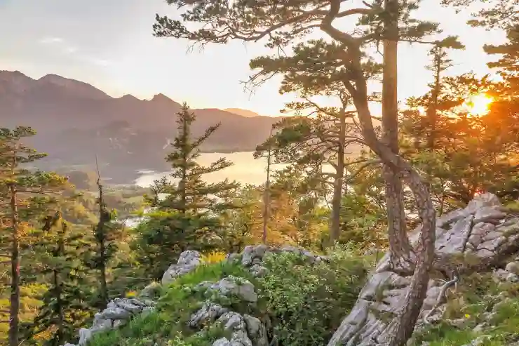 잦은 재채기 멈추는 법 💯, 코막힘 완화 꿀팁 3가지 & 예방 정리!
