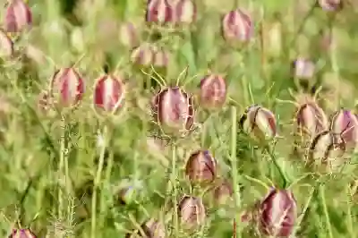 실수령액을 늘리는 세금 절약 꿀팁 알아보자
