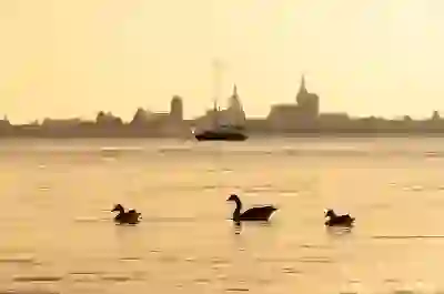 간헐적 단식 18:6 방법으로 몸짱 되기 위한 4가지 핵심 꿀팁