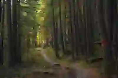 넷플릭스 영상 다운로드 방법 완벽 살펴보기