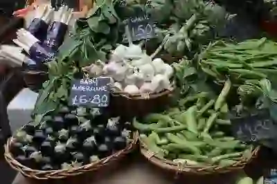 녹색 변의 원인과 증상 살펴보기