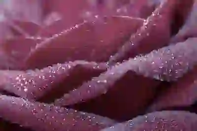 다올투자증권 주가 전망과 배당금 분석 살펴보기