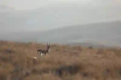 바베큐캠핑장 완벽 비교와 예약 꿀팁 알아보자