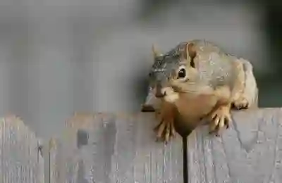 육군 기술행정병 보직 추천과 인기 있는 직무 살펴보기