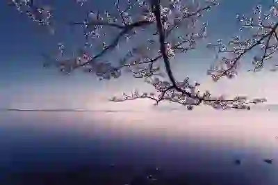 일본 매독 급증의 원인과 증상, 진단 및 치료 방법 알아보자