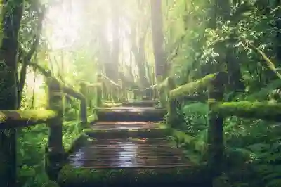 직장인 블로그 수익화 자격증 취득을 위한 준비 방법 살펴보기
