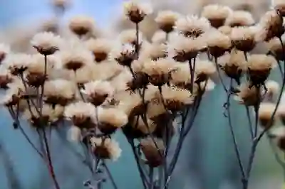 코골이 완치의 꿈, 4가지 솔루션과 꿀팁 알아보자