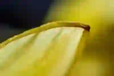 혼성 그룹의 매력을 극대화하는 5가지 전략 알아보자