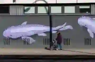 직장인대출 조건과 금리 등 모든 것을 알아보자