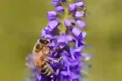 신년운세 무료 사이트 활용법 알아보자