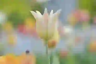 우대금리로 더 유리해진 보금자리론 활용법 알아보자