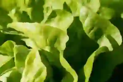 감기 보험금 청구 시 유의사항 알아보자