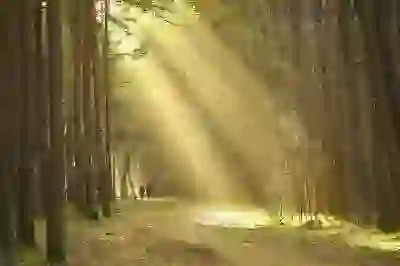 KF94와 KN95 마스크 성능 비교 및 선택 팁 알아보자