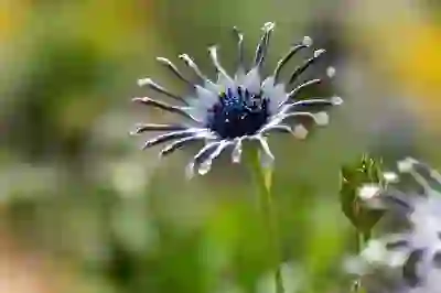 어시스트카드 고객센터 전화번호: 상담원 연결 방법 완벽 정리