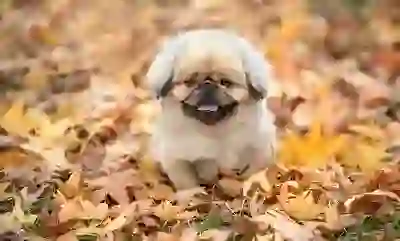 에이서 프레데터 XB253Q, 가성비 게이밍 모니터 끝판왕? 스펙부터 장점, 단점까지 꼼꼼 분석!