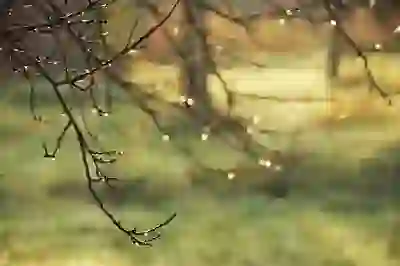 HD현대마린솔루션 공모주 청약, 줍줍 성공? 수요예측 결과 총정리!