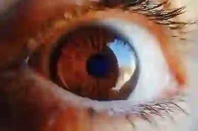 2025 전기기능사 시험? 지금 바로 접수하고 기출문제 싹 다 파악해볼까?