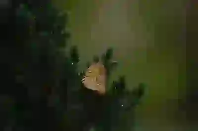 금과 은 시세, 숨겨진 연관성을 파헤치고 투자 전략 엿보기