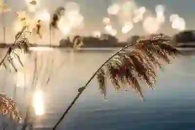 우리은행 적금 금리 상품별 완벽 분석! 지금 바로 체크하고 재테크 시작하세요!