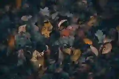 무설정 아파트론 당일 승인 꿀팁 3가지! (조건 & 신청 방법