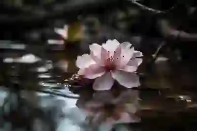 AIA생명 고객센터 전화 연결 꿀팁 3가지: 상담원 연결 총정리