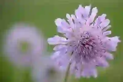 당뇨 빵 맛과 건강의 조화 알아보기: 65, 맛있는 선택