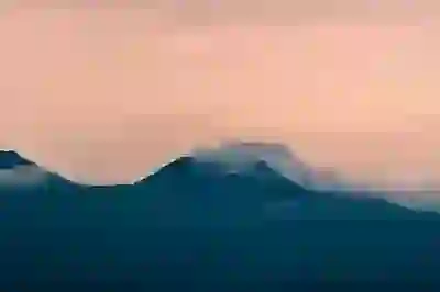 코셈 공모주 청약, 수요예측 결과 완벽 분석! (초보 투자자 주목