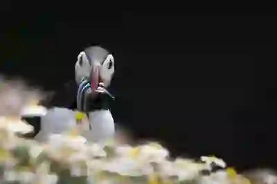 마비노기 하우징! 꿈꿔왔던 나만의 공간 만들기 신청 방법 및 팁 완벽 가이드