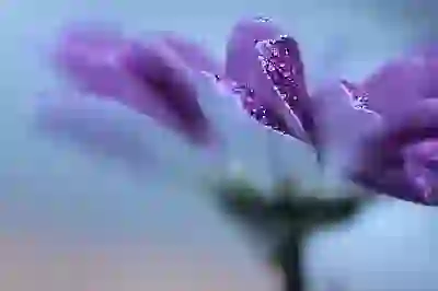 후순위 아파트담보대출 조건 & 금리 한도 꼼꼼 정리: 3가지 핵심 조건