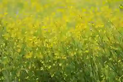 토익 리스닝 시험, 완벽하게 준비하고 신청하는 방법: 접수, 꿀팁, 전략까지!