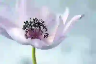 동두천 경기북부어린이박물관 후기: 아이와 뭐하지? 고민 끝! 필수 나들이 코스