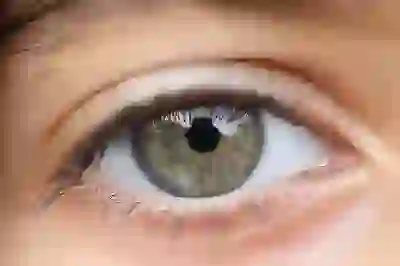 노로바이러스 전염 알아보기: 증상부터 예방까지