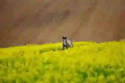 신용회복중 대출 가능한 곳? 숨겨진 기회, 지금 바로 알아보기!
