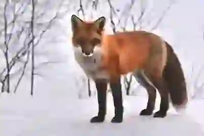 궁수의 전설 2 쿠폰번호 모음: 빠르게 보상 받는 꿀팁 3가지 알아보기