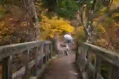 한화에어로스페이스: 주가 전망, 실적 분석, 배당, 그리고 성장의 열쇠