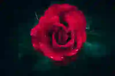 응답하라 1997 다시 보기: 시리즈 정주행 꿀팁 알아보기