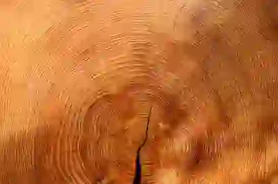 KPGA 투어 상세일정, 2025년 일정 완벽 정리!